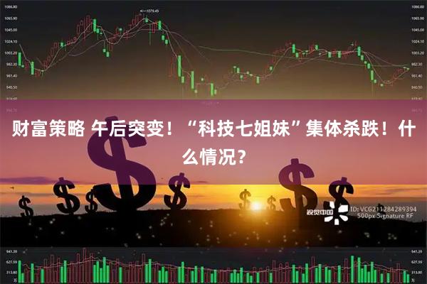 财富策略 午后突变！“科技七姐妹”集体杀跌！什么情况？