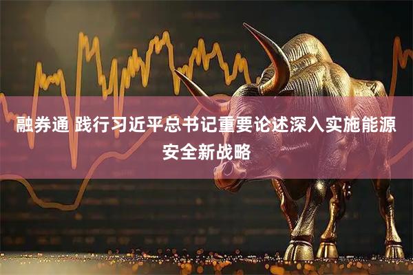 融券通 践行习近平总书记重要论述深入实施能源安全新战略