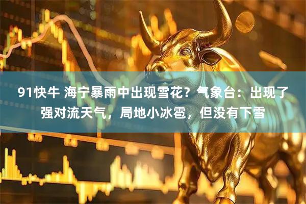 91快牛 海宁暴雨中出现雪花？气象台：出现了强对流天气，局地小冰雹，但没有下雪