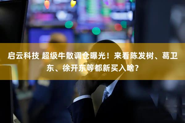 启云科技 超级牛散调仓曝光！来看陈发树、葛卫东、徐开东等都新买入啥？