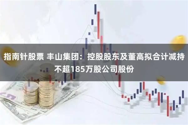 指南针股票 丰山集团：控股股东及董高拟合计减持不超185万股公司股份