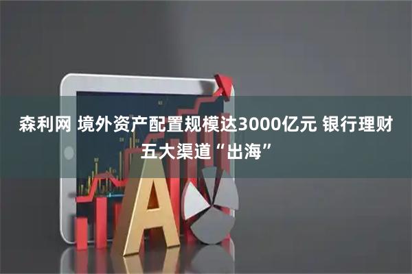 森利网 境外资产配置规模达3000亿元 银行理财五大渠道“出海”