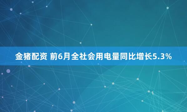 金猪配资 前6月全社会用电量同比增长5.3%